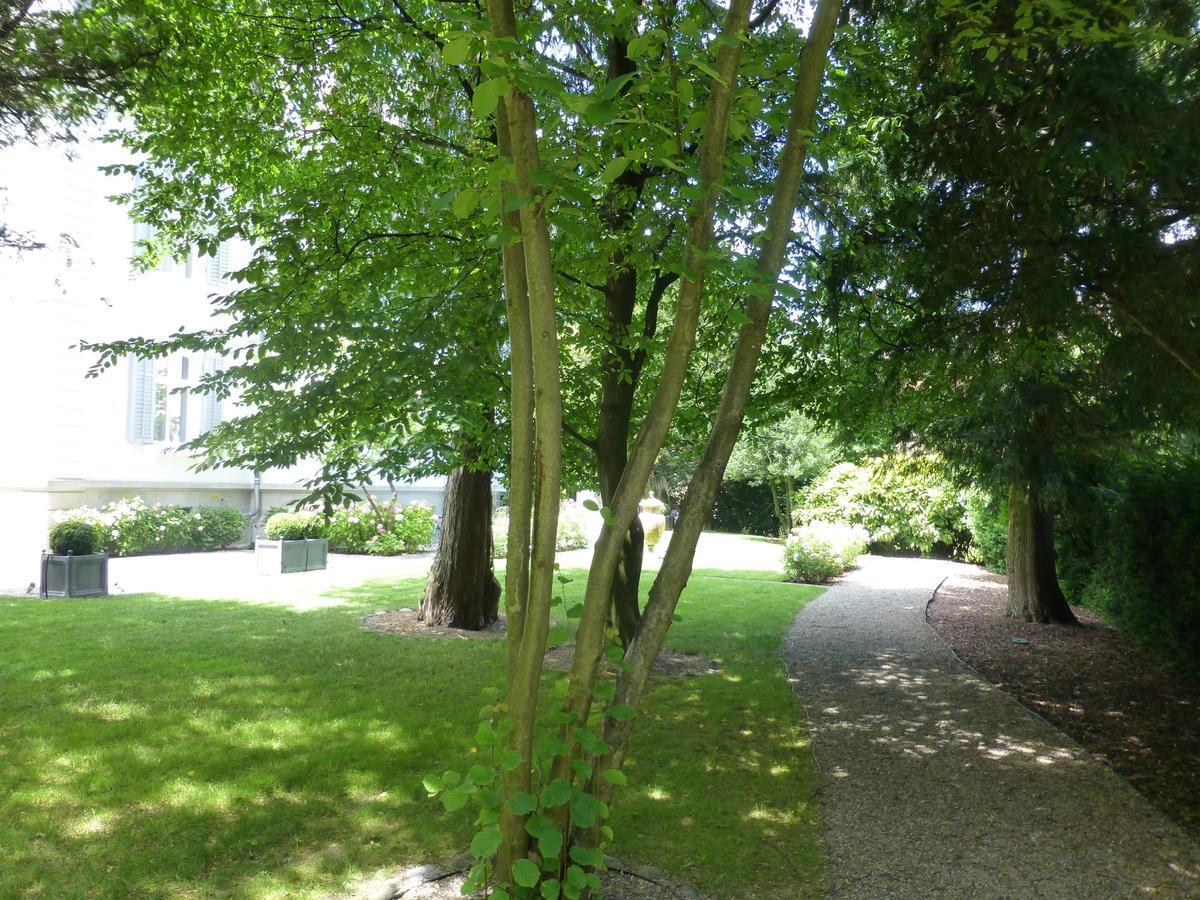 Entire Zurich Villa, Your Private Luxury Escape With In House Staff Buitenkant foto